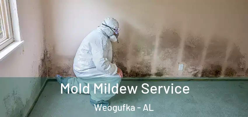 Mold Mildew Service Weogufka - AL