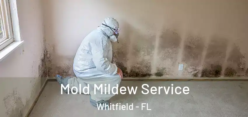 Mold Mildew Service Whitfield - FL