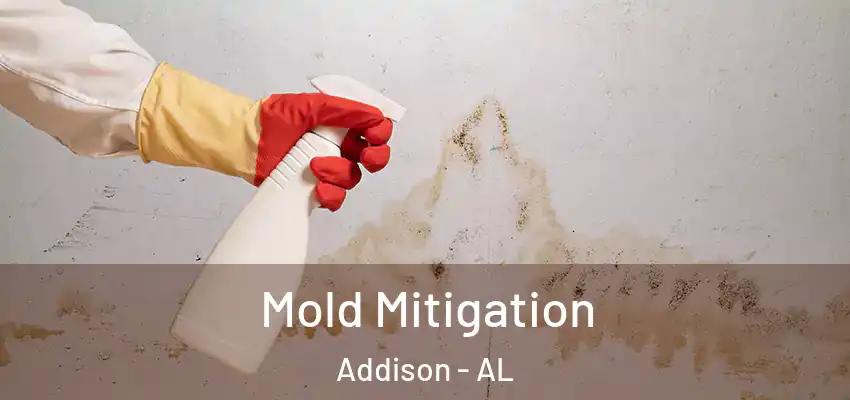 Mold Mitigation Addison - AL