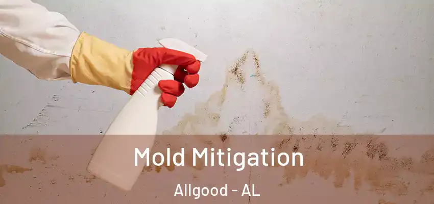 Mold Mitigation Allgood - AL