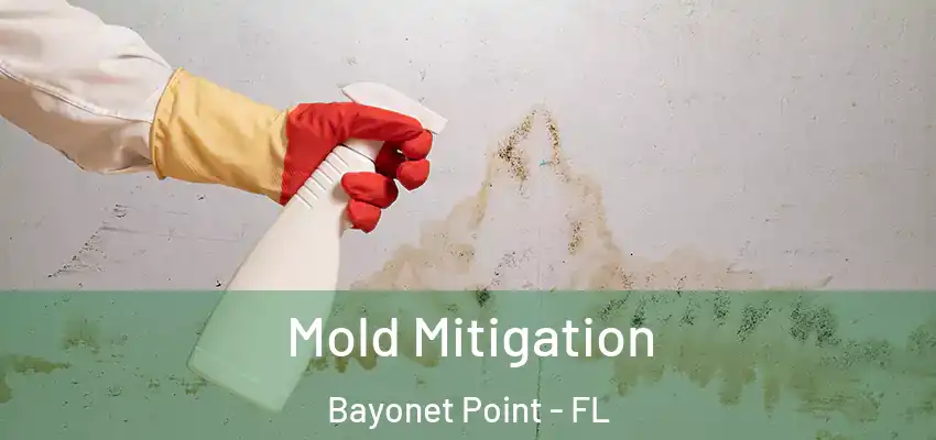Mold Mitigation Bayonet Point - FL
