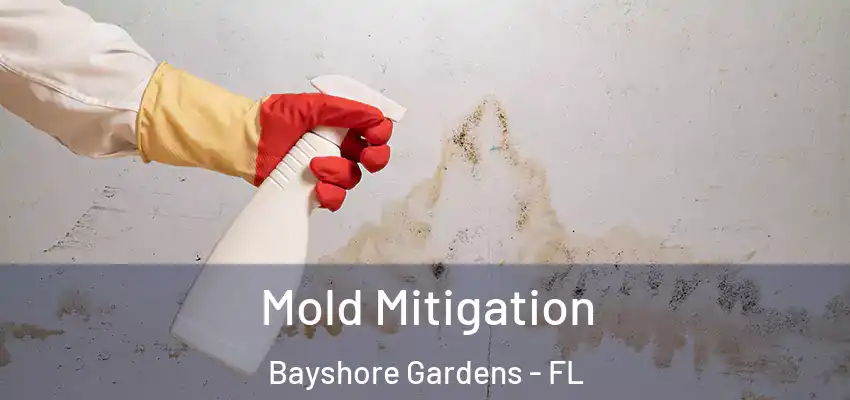  Mold Mitigation Bayshore Gardens - FL