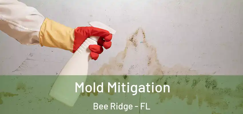 Mold Mitigation Bee Ridge - FL