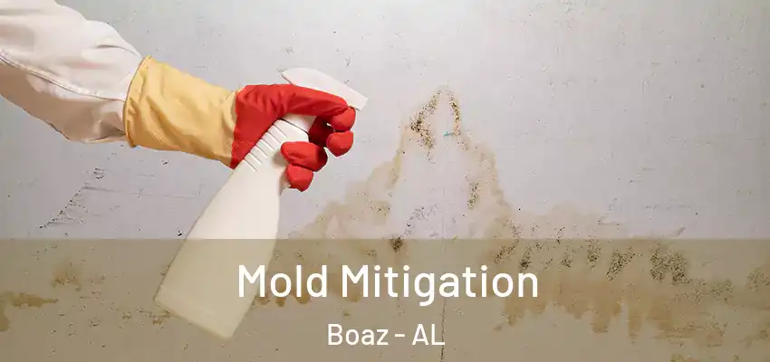 Mold Mitigation Boaz - AL