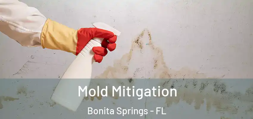 Mold Mitigation Bonita Springs - FL