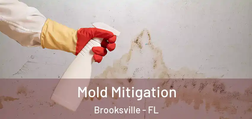 Mold Mitigation Brooksville - FL