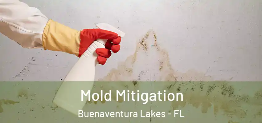  Mold Mitigation Buenaventura Lakes - FL