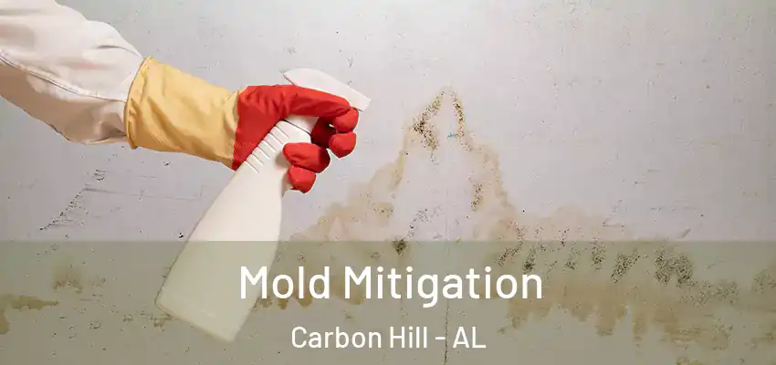 Mold Mitigation Carbon Hill - AL