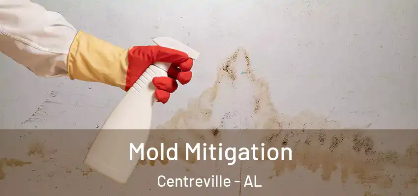 Mold Mitigation Centreville - AL