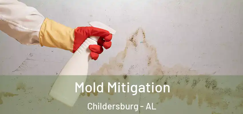  Mold Mitigation Childersburg - AL