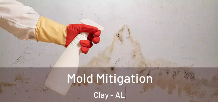 Mold Mitigation Clay - AL