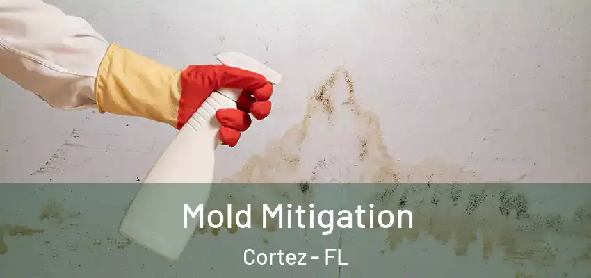 Mold Mitigation Cortez - FL