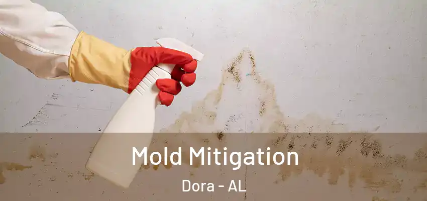 Mold Mitigation Dora - AL