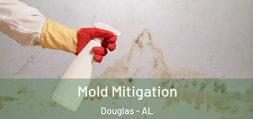 Mold Mitigation Douglas - AL