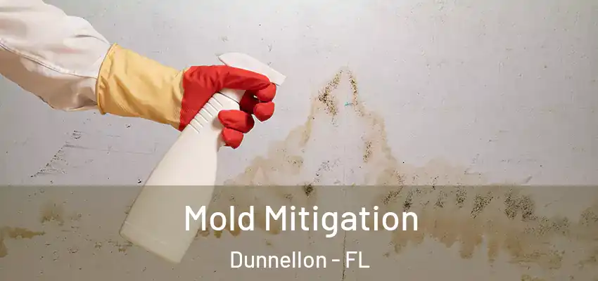 Mold Mitigation Dunnellon - FL