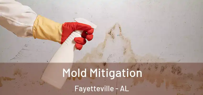  Mold Mitigation Fayetteville - AL