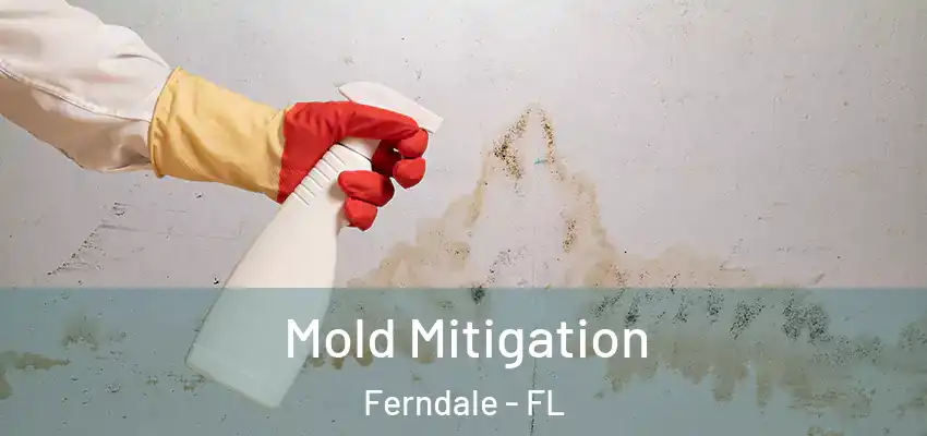 Mold Mitigation Ferndale - FL