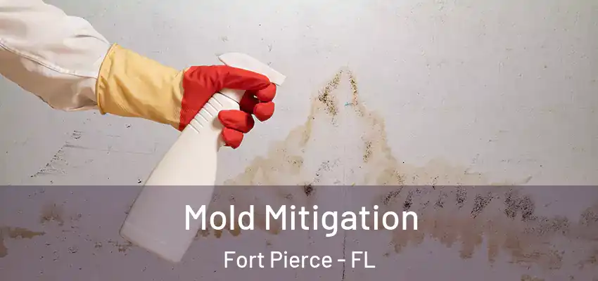  Mold Mitigation Fort Pierce - FL