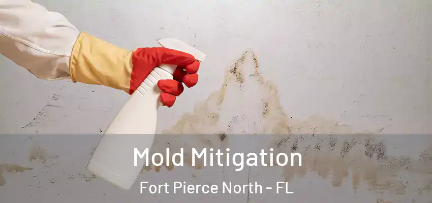 Mold Mitigation Fort Pierce North - FL