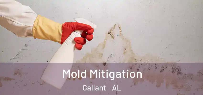  Mold Mitigation Gallant - AL