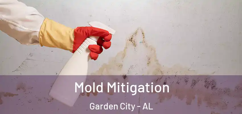 Mold Mitigation Garden City - AL