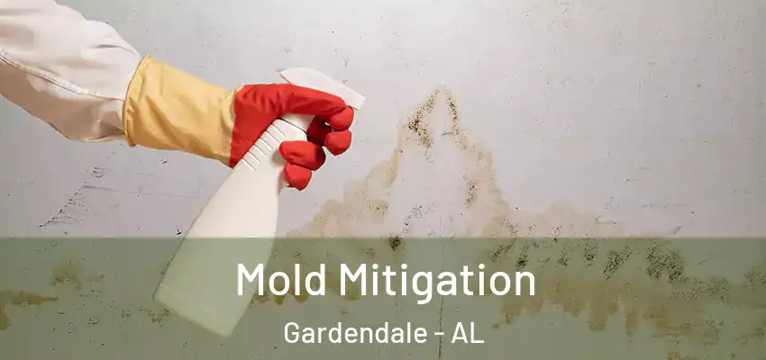  Mold Mitigation Gardendale - AL