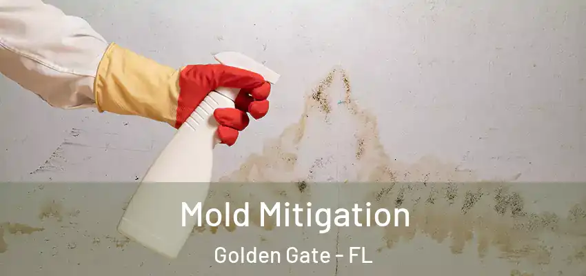  Mold Mitigation Golden Gate - FL
