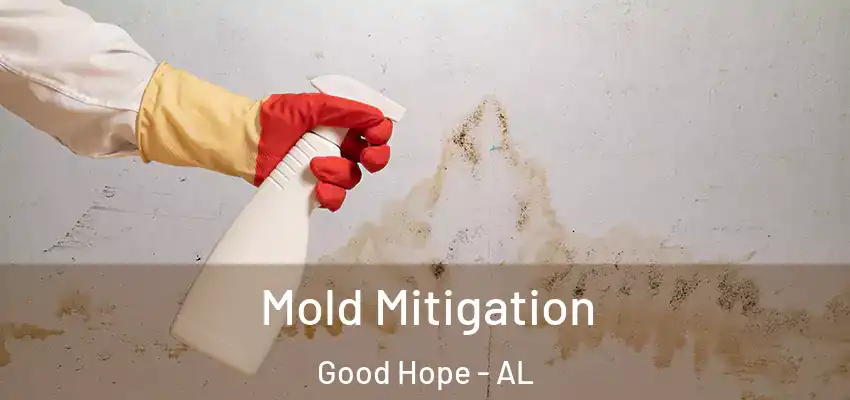  Mold Mitigation Good Hope - AL