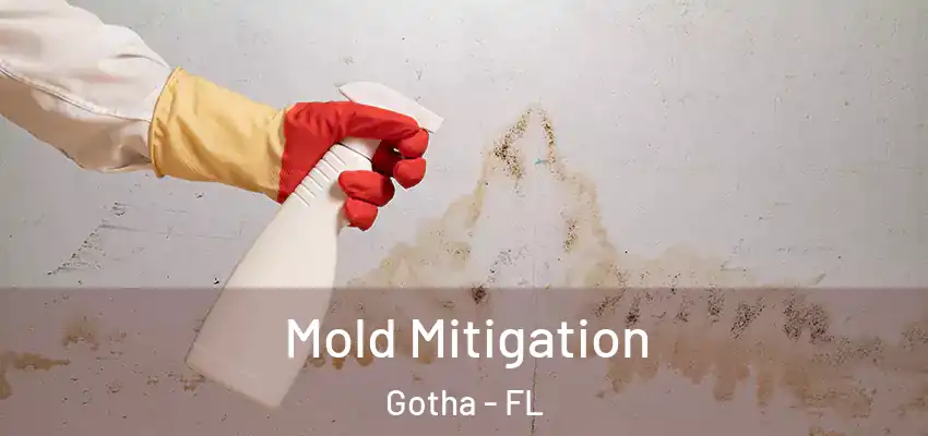  Mold Mitigation Gotha - FL