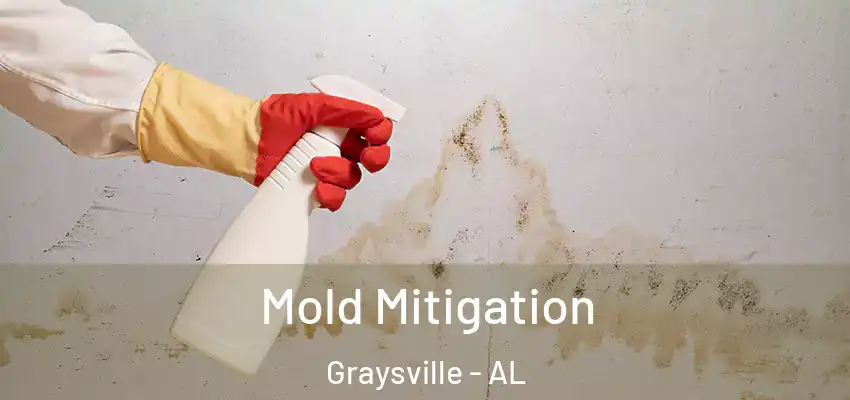 Mold Mitigation Graysville - AL