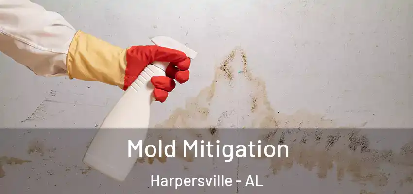 Mold Mitigation Harpersville - AL