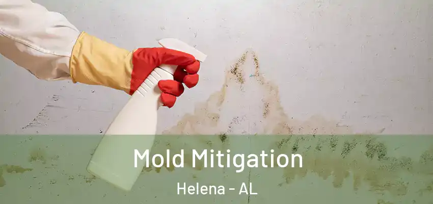  Mold Mitigation Helena - AL