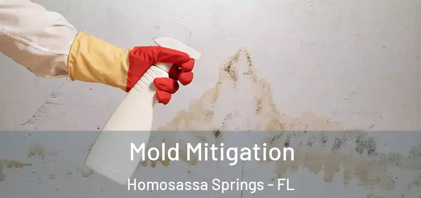  Mold Mitigation Homosassa Springs - FL