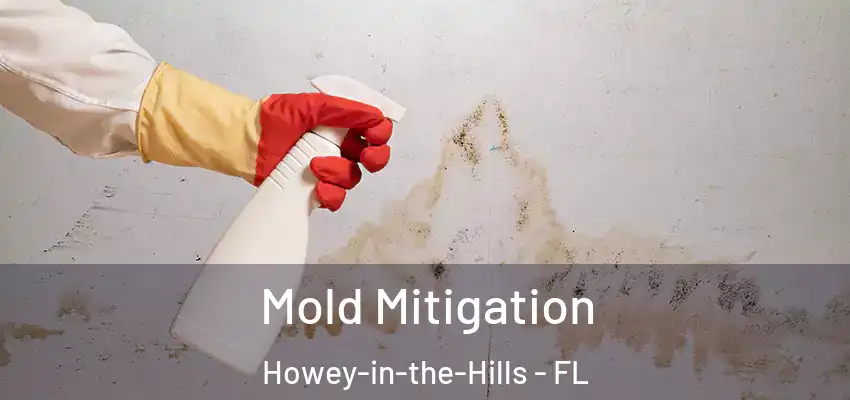Mold Mitigation Howey-in-the-Hills - FL