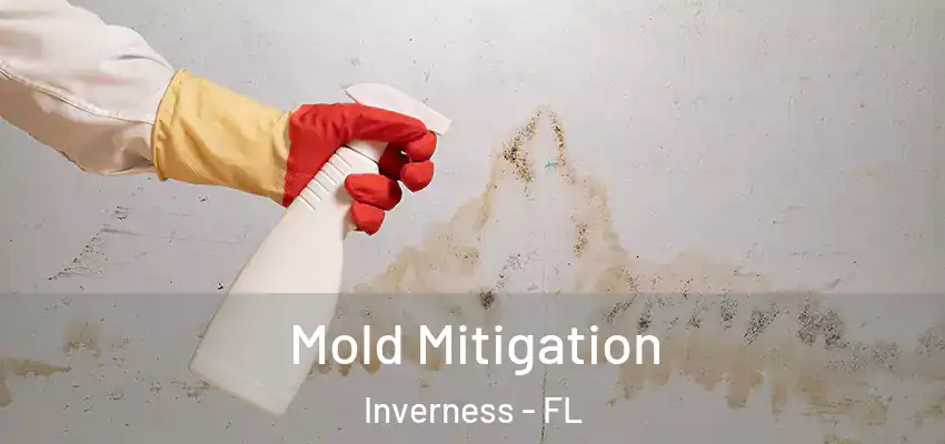 Mold Mitigation Inverness - FL
