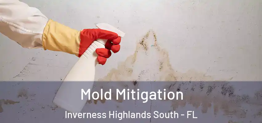 Mold Mitigation Inverness Highlands South - FL