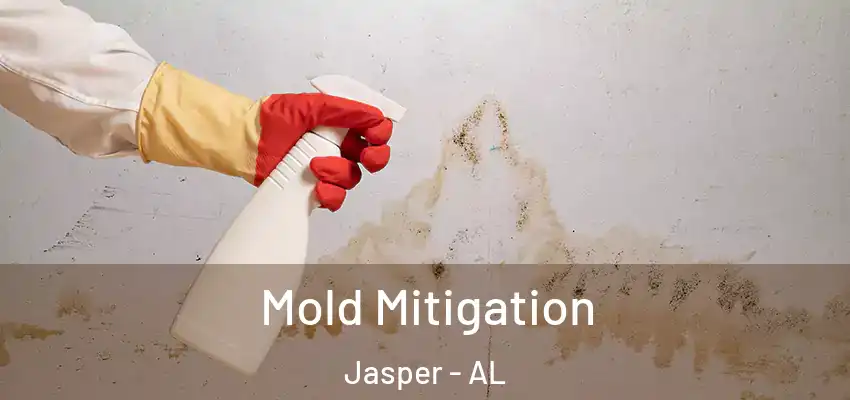  Mold Mitigation Jasper - AL