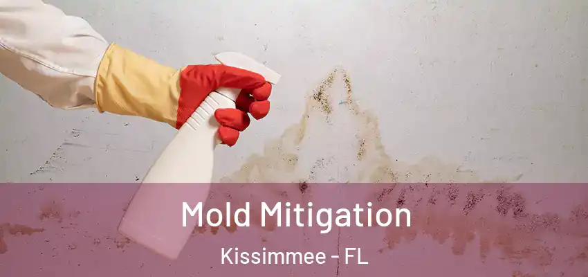  Mold Mitigation Kissimmee - FL