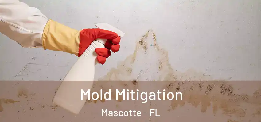 Mold Mitigation Mascotte - FL