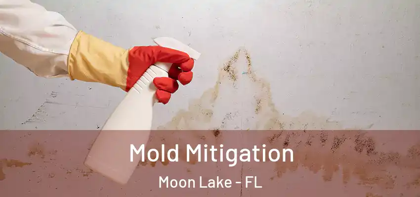  Mold Mitigation Moon Lake - FL