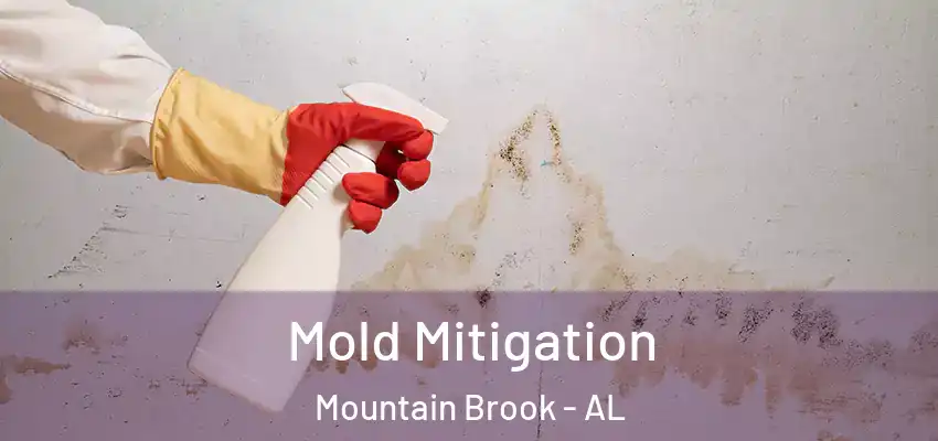  Mold Mitigation Mountain Brook - AL