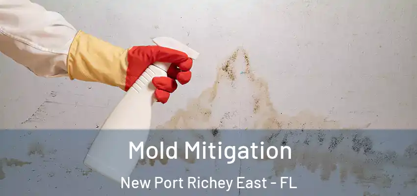 Mold Mitigation New Port Richey East - FL