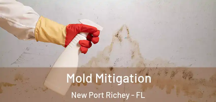  Mold Mitigation New Port Richey - FL