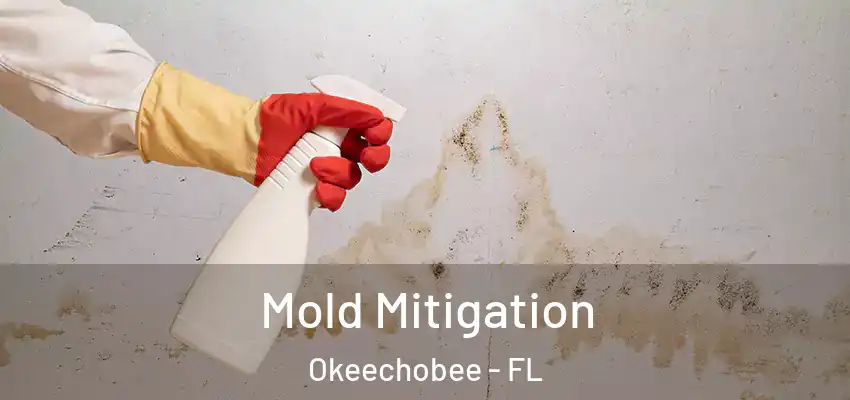  Mold Mitigation Okeechobee - FL