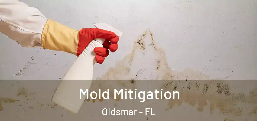  Mold Mitigation Oldsmar - FL