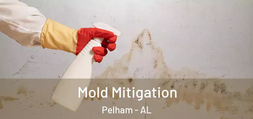  Mold Mitigation Pelham - AL