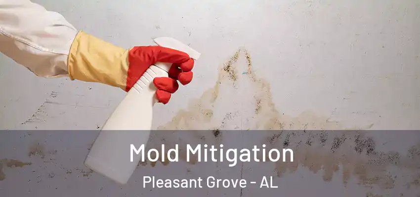Mold Mitigation Pleasant Grove - AL