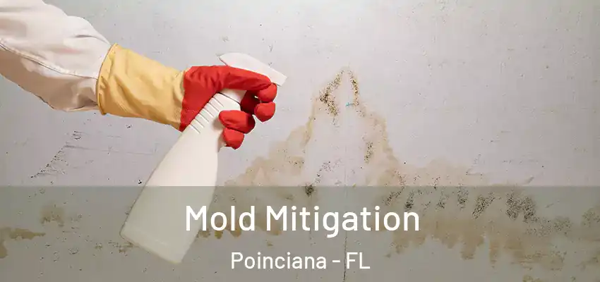  Mold Mitigation Poinciana - FL