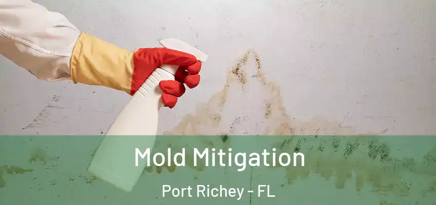 Mold Mitigation Port Richey - FL