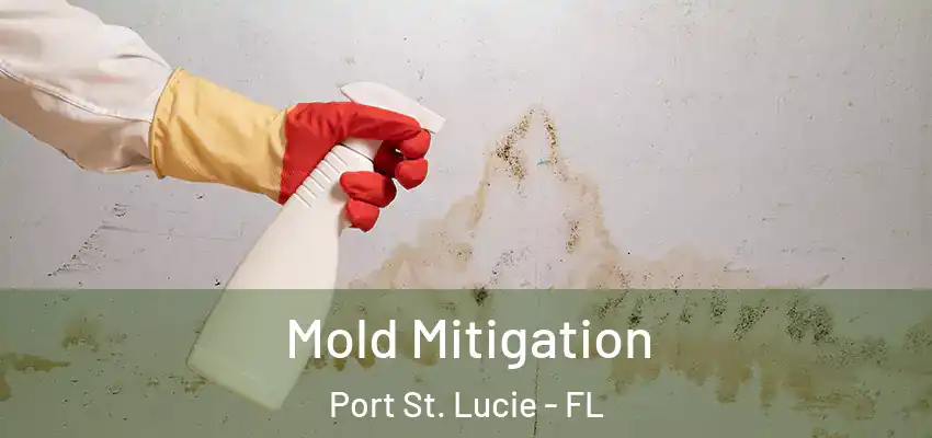 Mold Mitigation Port St. Lucie - FL
